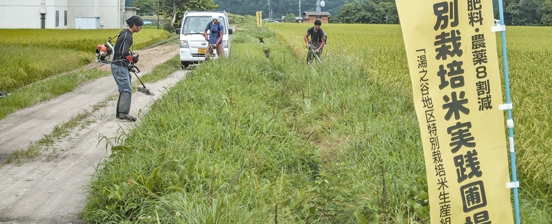 化学肥料と農薬をこだわりの80％以上削減。特別栽培米実践圃場