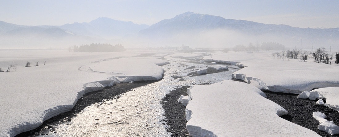 日本有数の豪雪地帯、魚沼市湯之谷地区。